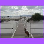 Belle Hiking On Boardwalk.jpg